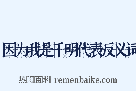 因为我是千明代表反义词是什么意思的图片